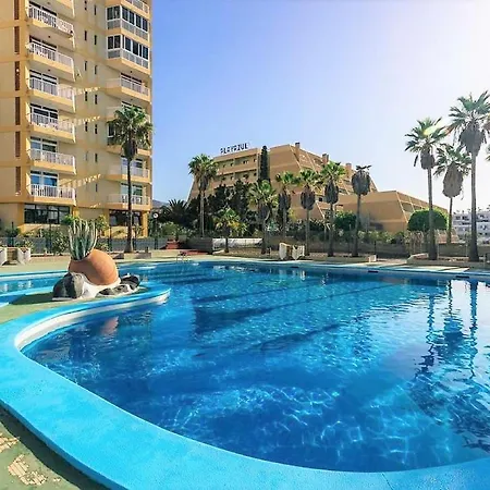 Americas Blue Yosea *