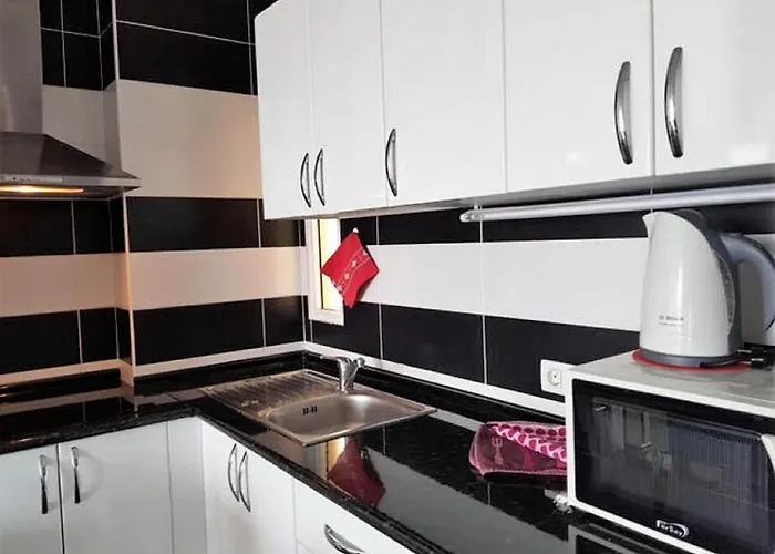 Americas Blue Yosea * 플라야데라스아메리카스