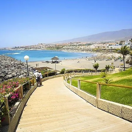 Americas Blue Yosea * 美洲海滩